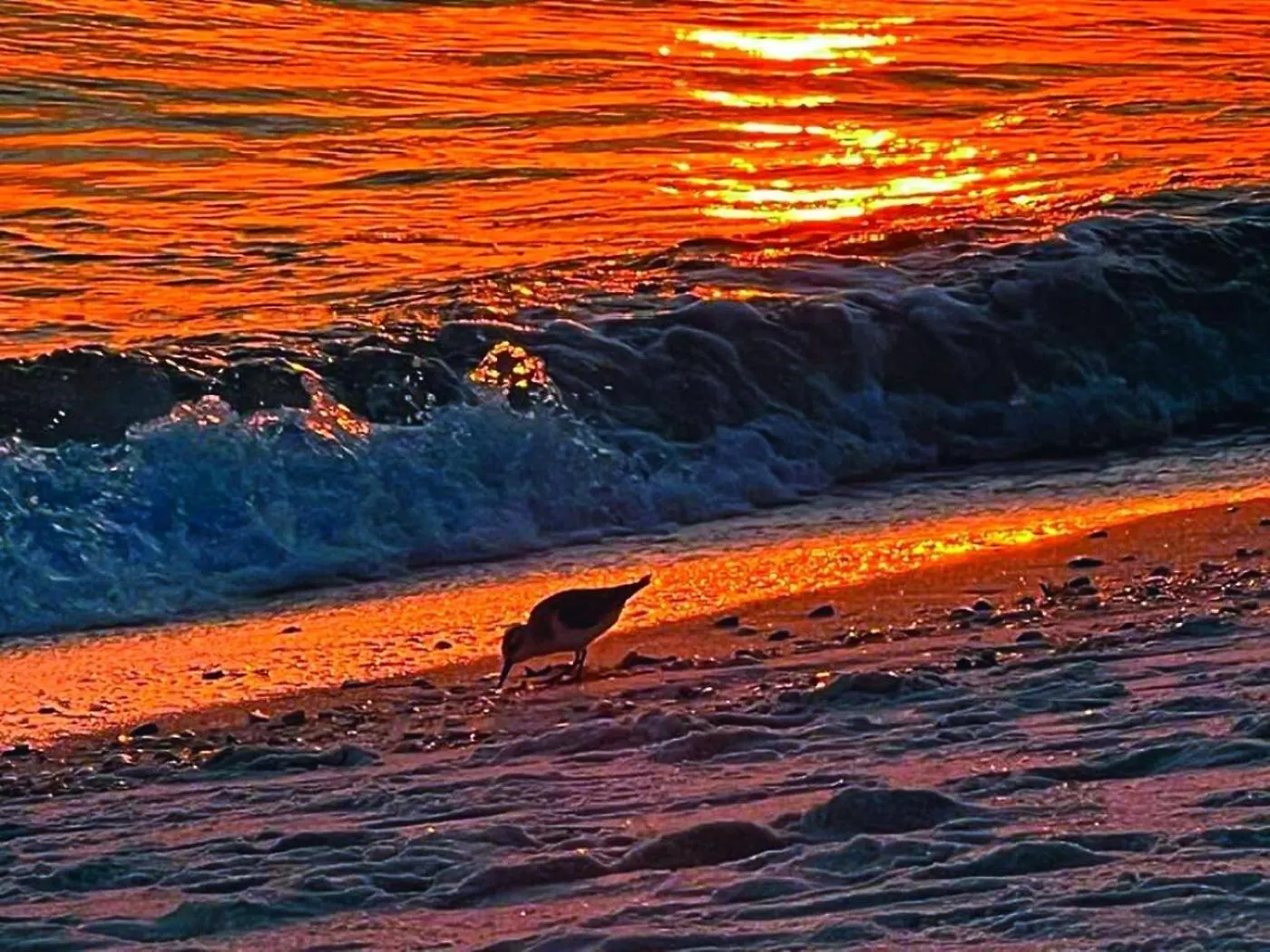Origin Unit 911 Aparthotel Panama City Beach